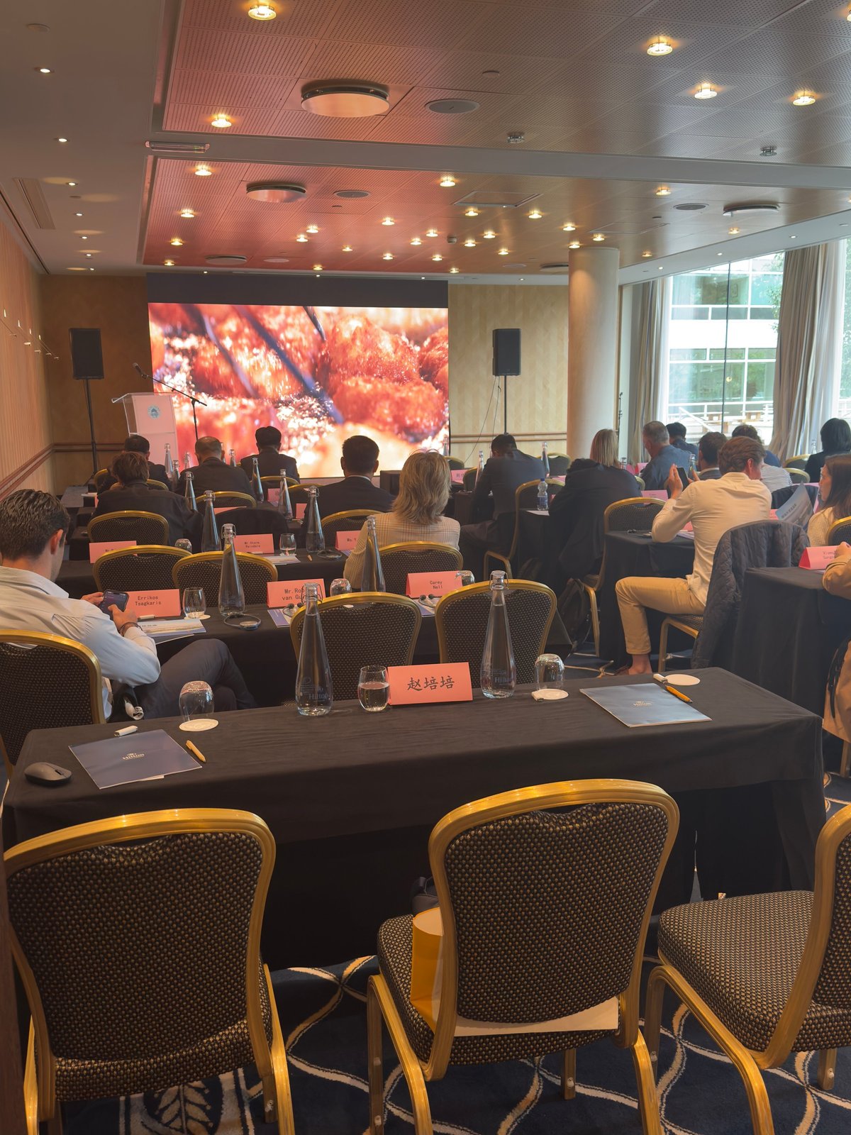 Professional conference room with seated attendees watching a presentation on a large screen displaying autumn foliage